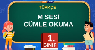 M SESİ CÜMLE OKUMA