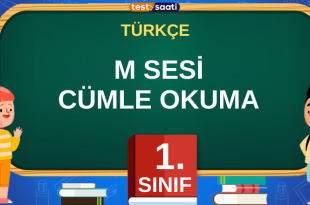 M SESİ CÜMLE OKUMA