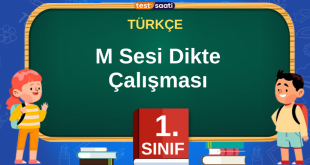M Sesi Dikte Çalışması