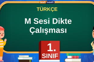 M Sesi Dikte Çalışması