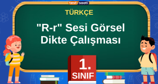 R SESİ