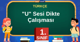 U Sesi Dikte Çalışması