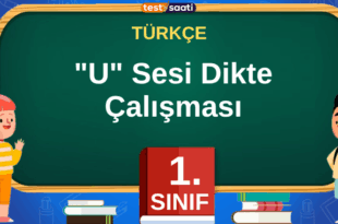 U Sesi Dikte Çalışması
