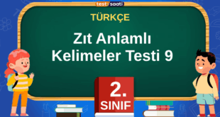 Zıt Anlamlı Kelimeler Testi 9