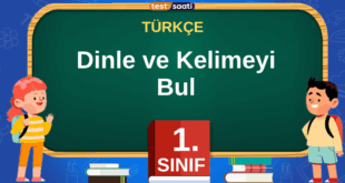 dnle