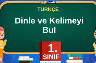 dnle