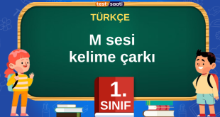 M Sesi Kelime Çarkı