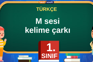 M Sesi Kelime Çarkı