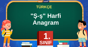 1. Sınıf Ş-ş Harfi Anagram