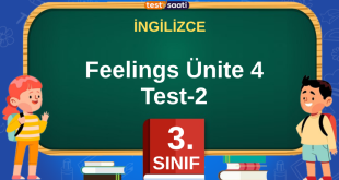 Feelings Ünite 4 Test-2
