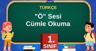Ö Sesi Cümle Okuma