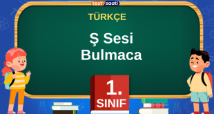 Ş Sesi Bulmaca