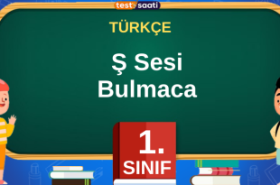 Ş Sesi Bulmaca