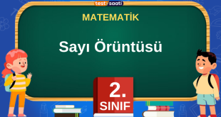 Sayı Örüntüsü