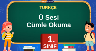 Ü Sesi Cümle Okuma