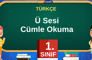 Ü Sesi Cümle Okuma