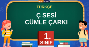 ç sesi