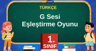 g sesi