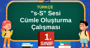 s sesi