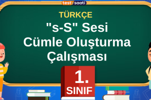 s sesi