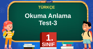 Okuma Anlama Test-3