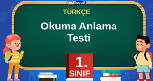 Okuma Anlama Testi