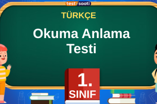 Okuma Anlama Testi