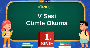 V Sesi Cümle Okuma