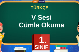 V Sesi Cümle Okuma