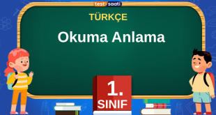 okuma anlama