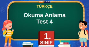 Okuma Anlama Test-4