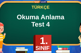 Okuma Anlama Test-4