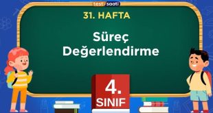 4. SINIF 31 HAFTA