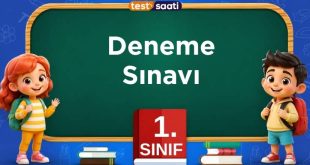 1. sınıf Deneme Sınavı