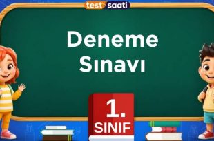 1. sınıf Deneme Sınavı