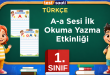 1. Sınıf A-a Sesi İlk Okuma Yazma Etkinliği