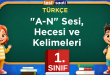 A-N Sesi, Hecesi ve Kelimeleri