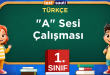 A Sesi Çalışması