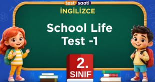 School Life Test -1