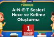 A-N-E-T Sesleri Hece ve Kelime Oluşturma
