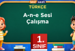 A-n-e Sesi Çalışma
