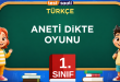 ANETİ DiKTE OYUNU