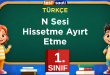 N Sesi Hissetme Ayırt Etme
