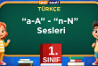 a-A-n-N sesleri